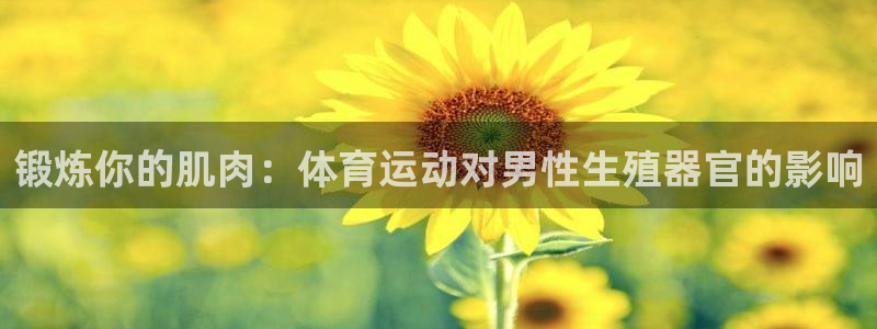 球速体育