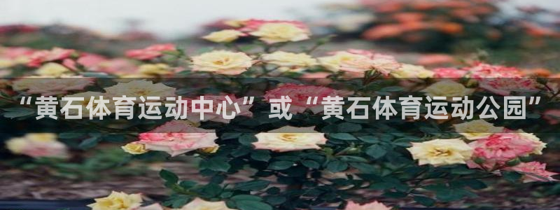 球速体育