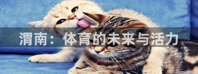 球速体育