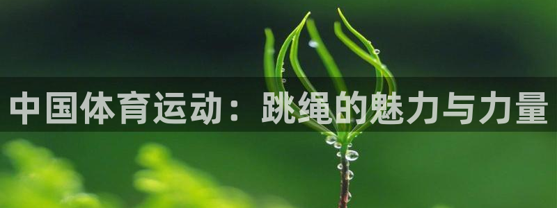 球速体育