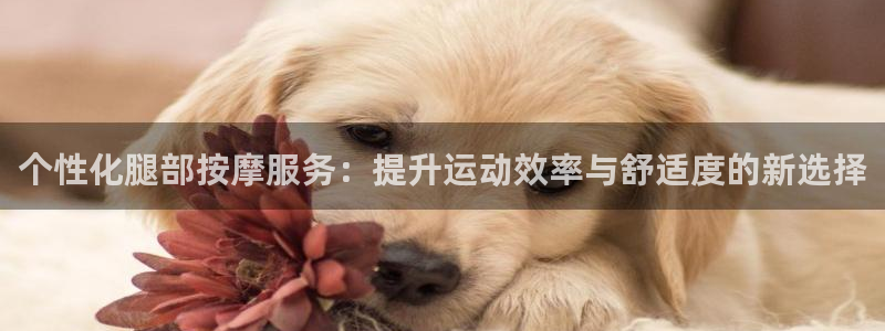 球速体育
