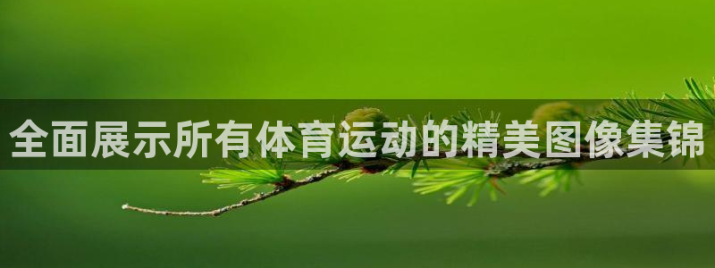 球速体育